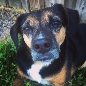 Meet your Posher, Maddy